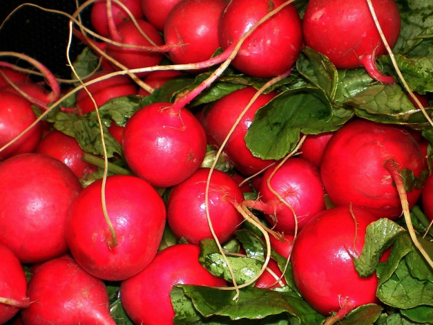 Обои картинки фото еда, редис, репа, редька