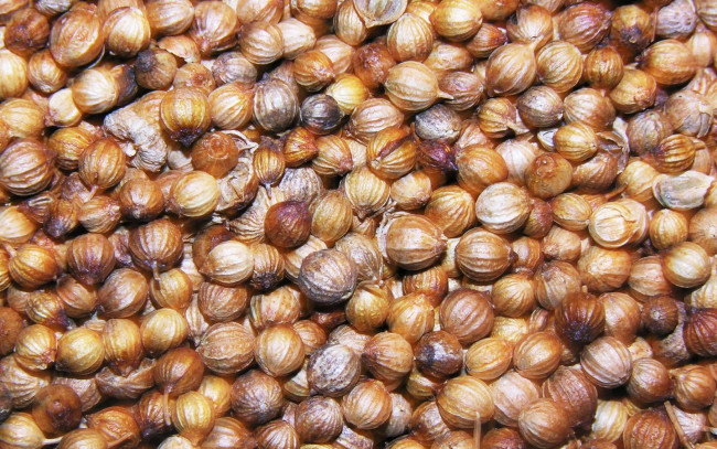 Обои картинки фото еда