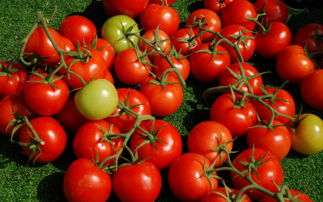 Обои картинки фото еда, помидоры, томаты