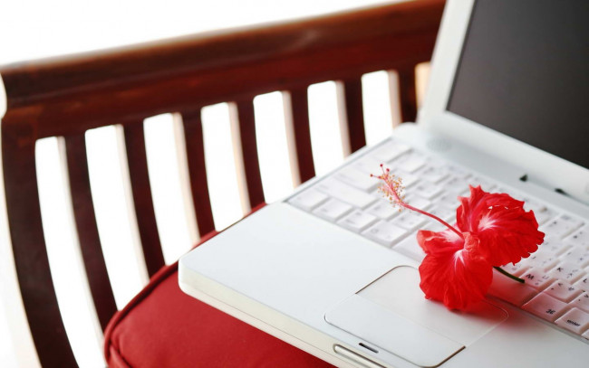 Обои картинки фото разное, другое