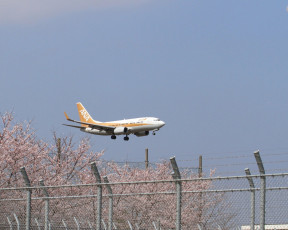 Картинка авиация пассажирские самолёты