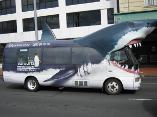 Картинка автомобили автобусы