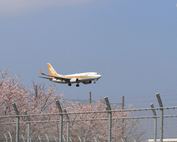 Обои картинки фото авиация, пассажирские, самолёты