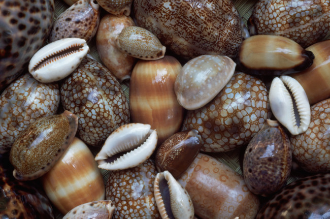 Обои картинки фото разное