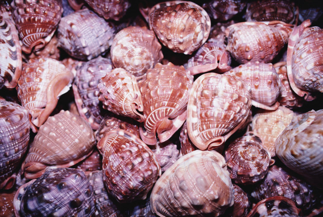 Обои картинки фото разное