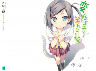 обоя hentai, ouji, to, warawanai, neko, tsukiko, аниме, henneko, blue, eyes, black, hair, anime