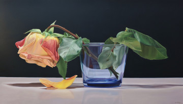 обоя karina, rodriguez, рисованные, роза