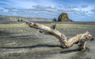 Картинка природа маяки скала маяк бревно