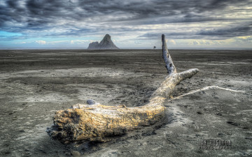 Картинка природа побережье отлив бревно облака