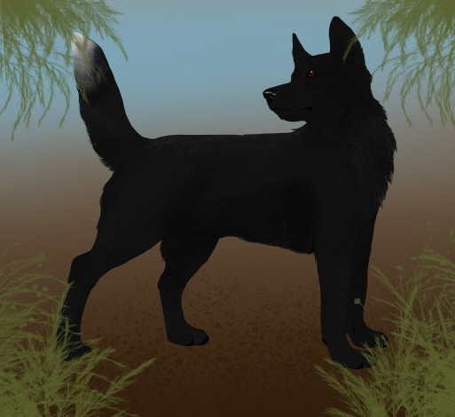 Обои картинки фото рисованные, животные, собаки, собака, трава