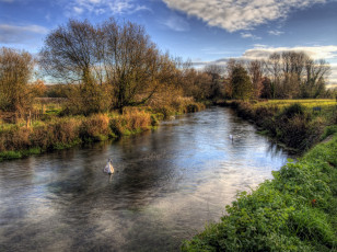 Картинка природа реки озера облака деревья трава берега река