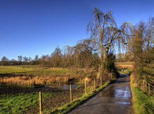 Картинка природа дороги поле деревья изгородь дорога