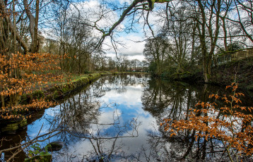 Картинка природа реки озера облака деревья трава берега река