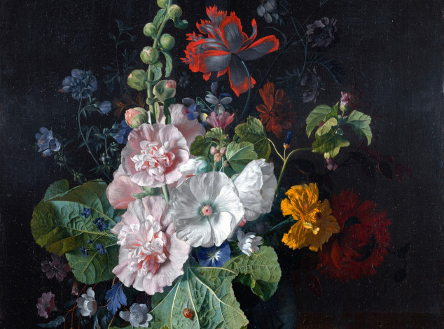 Обои картинки фото рисованные, цветы, мальвы