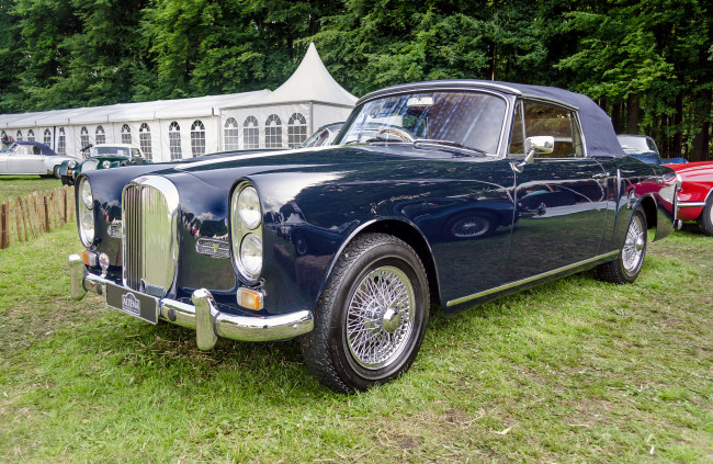 Обои картинки фото alvis te 21 convertible, автомобили, выставки и уличные фото, история, ретро, выставка, автошоу