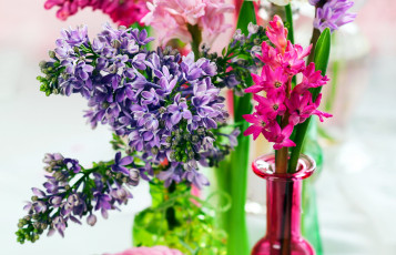 Картинка цветы разные+вместе гиацинт сирень
