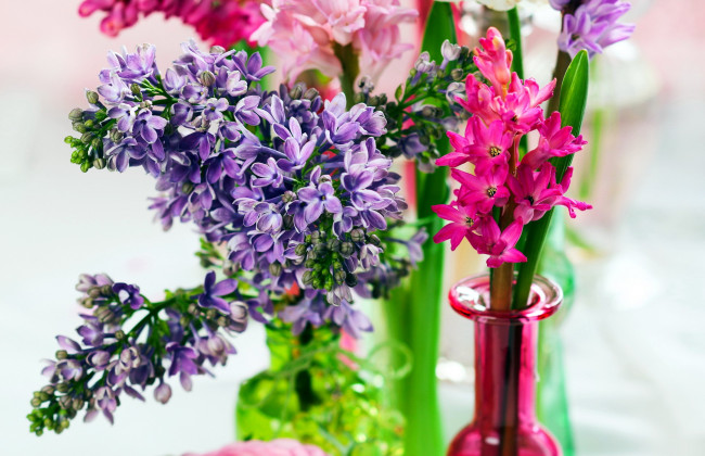 Обои картинки фото цветы, разные вместе, гиацинт, сирень