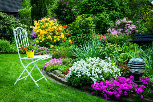 Обои картинки фото цветы, разные вместе, клумбы