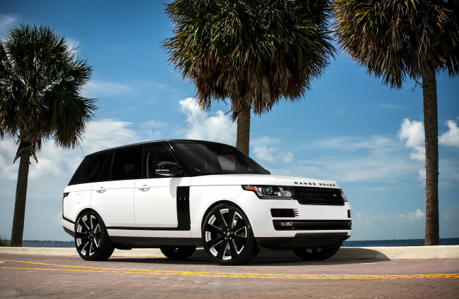 Обои картинки фото автомобили, range rover, range-rover