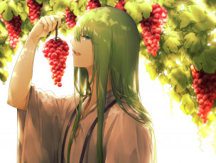Картинка аниме fate stay+night enkidu