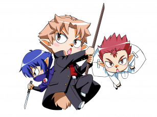 обоя аниме, baka to test to shoukanjuu, атака, tsuchiya, kouta, дурни, тесты, аватары, белый, фон, хвост, baka, to, test, shoukanjuu, akihisa, yoshii, ушки, друзья, чибики, парни, sakamoto, yuuji