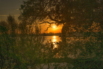 Картинка природа реки озера лес река