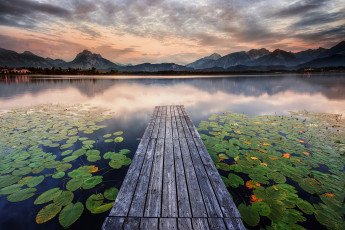 Картинка природа реки озера лес река