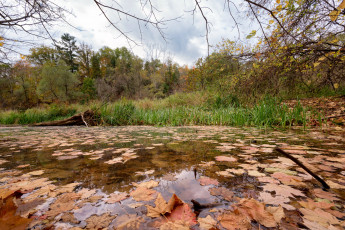 Картинка природа реки озера лес река