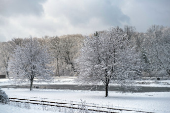 Картинка природа зима снег деревья иней