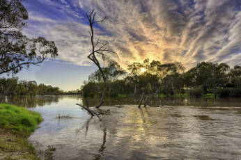 Картинка природа реки озера лес река