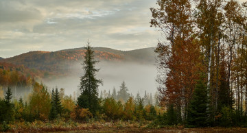 Картинка природа пейзажи простор