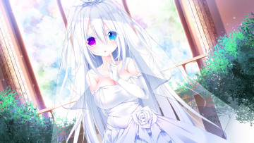 Картинка аниме unknown +другое взгляд фон девушка