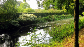 Картинка природа парк водоем кусты деревья лето