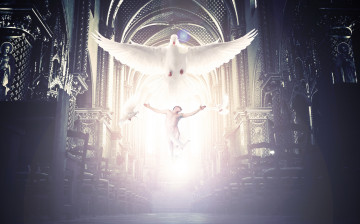 Картинка разное компьютерный+дизайн мужчина голубь полет фон