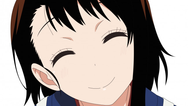 Обои картинки фото аниме, nisekoi, фон, взгляд, девушка