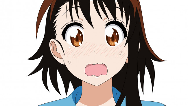 Обои картинки фото аниме, nisekoi, фон, взгляд, девушка