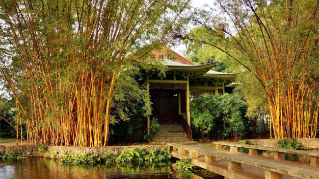 Обои картинки фото природа, парк, водоем, мостик, пагода