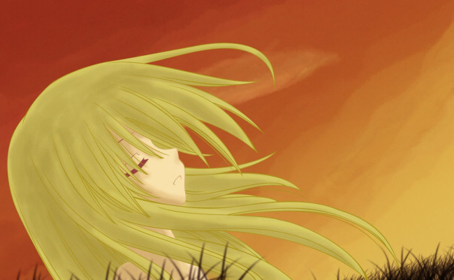 Обои картинки фото аниме, ookami-san to shichinin no nakama-tachi, фон, взгляд, девушка