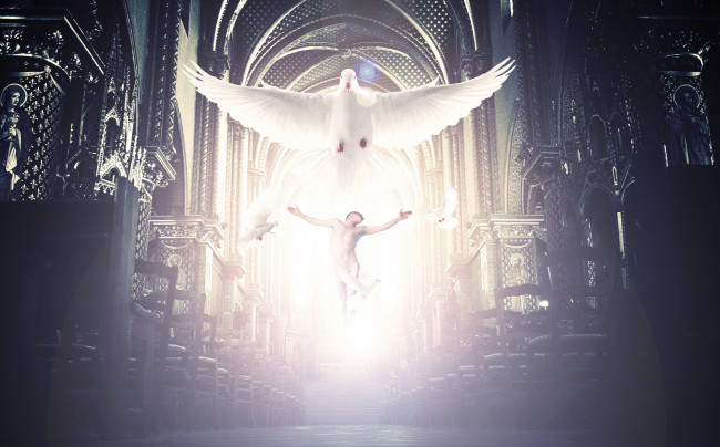 Обои картинки фото разное, компьютерный дизайн, мужчина, голубь, полет, фон