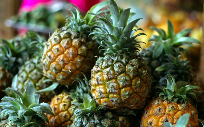 Обои картинки фото еда, ананас, экзотический, фрукт, много