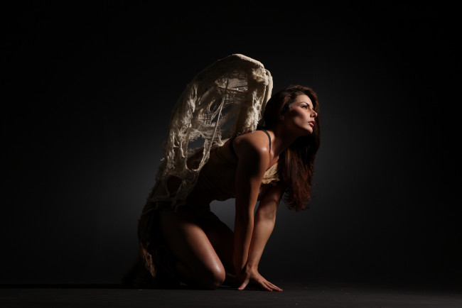 Обои картинки фото девушки, -unsort , брюнетки,  шатенки, девушка, фон, крылья