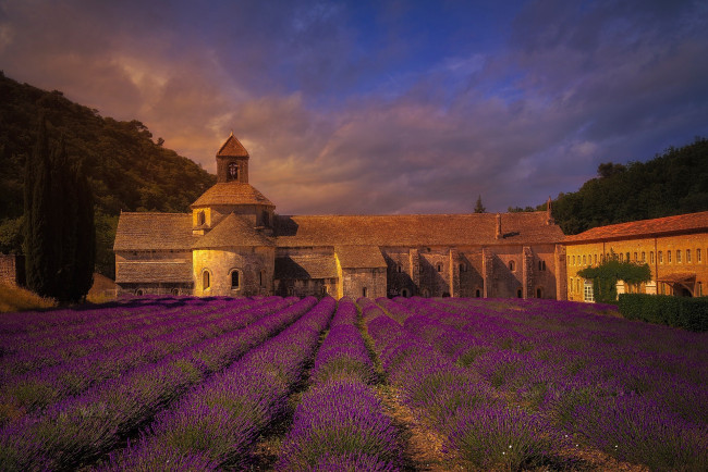Обои картинки фото города, - здания,  дома, франция, поле, лаванда, монастырь