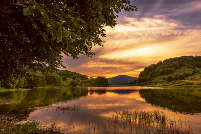 Обои картинки фото природа, реки, озера, лес, река