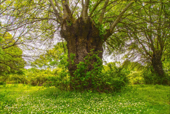 Картинка природа дороги простор