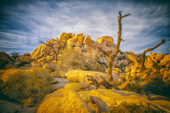 Картинка природа пустыни простор