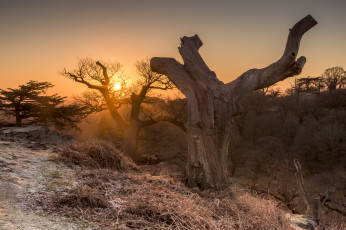 Картинка природа восходы закаты простор