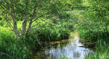 Картинка природа реки озера простор