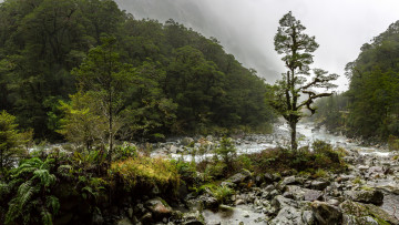 Картинка природа реки озера простор