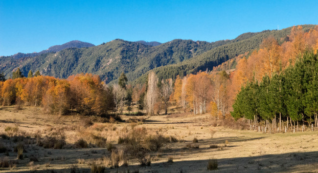 Обои картинки фото природа, пейзажи, простор