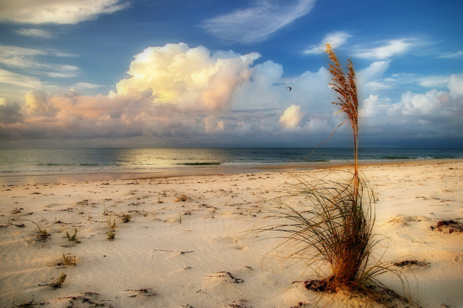 Обои картинки фото природа, побережье, простор